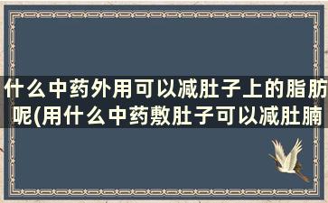 什么中药外用可以减肚子上的脂肪呢(用什么中药敷肚子可以减肚腩)