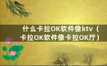 什么卡拉OK软件像ktv（卡拉OK软件像卡拉OK厅）