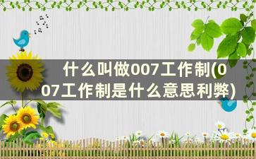 什么叫做007工作制(007工作制是什么意思利弊)