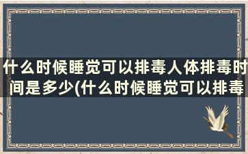 什么时候睡觉可以排毒人体排毒时间是多少(什么时候睡觉可以排毒人体排毒时间是多久)