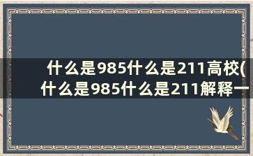 什么是985什么是211高校(什么是985什么是211解释一下)