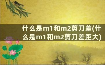 什么是m1和m2剪刀差(什么是m1和m2剪刀差距大)