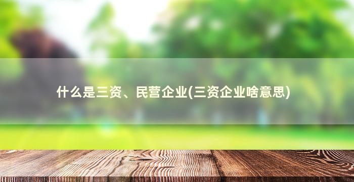 什么是三资、民营企业(三资企业啥意思)