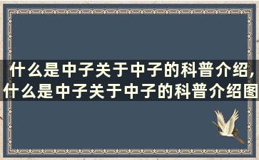 什么是中子关于中子的科普介绍,什么是中子关于中子的科普介绍图片