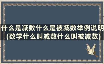 什么是减数什么是被减数举例说明(数学什么叫减数什么叫被减数)