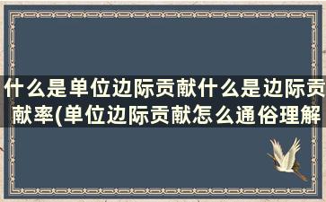 什么是单位边际贡献什么是边际贡献率(单位边际贡献怎么通俗理解)