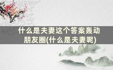 什么是夫妻这个答案轰动朋友圈(什么是夫妻呢)