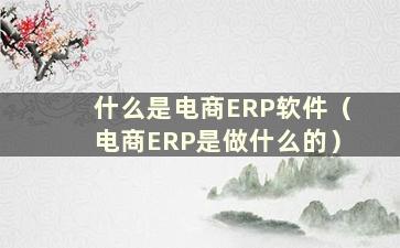 什么是电商ERP软件（电商ERP是做什么的）