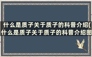 什么是质子关于质子的科普介绍(什么是质子关于质子的科普介绍图片)