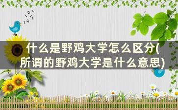 什么是野鸡大学怎么区分(所谓的野鸡大学是什么意思)