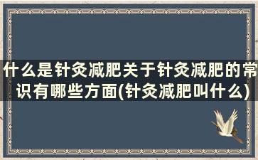 什么是针灸减肥关于针灸减肥的常识有哪些方面(针灸减肥叫什么)