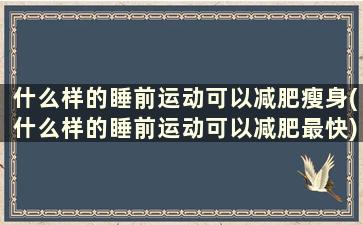 什么样的睡前运动可以减肥瘦身(什么样的睡前运动可以减肥最快)