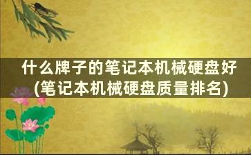 什么牌子的笔记本机械硬盘好(笔记本机械硬盘质量排名)