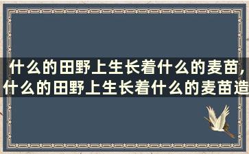 什么的田野上生长着什么的麦苗,什么的田野上生长着什么的麦苗造句