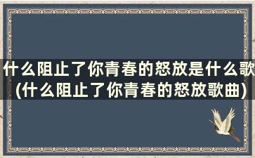 什么阻止了你青春的怒放是什么歌(什么阻止了你青春的怒放歌曲)