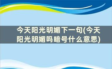 今天阳光明媚下一句(今天阳光明媚吗暗号什么意思)