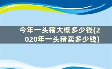 今年一头猪大概多少钱(2020年一头猪卖多少钱)