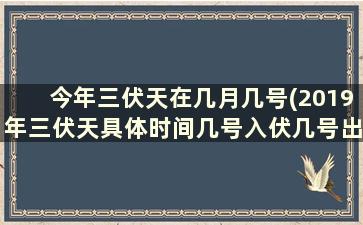 今年三伏天在几月几号(2019年三伏天具体时间几号入伏几号出伏)