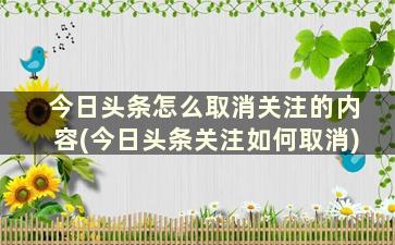 今日头条怎么取消关注的内容(今日头条关注如何取消)