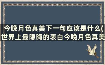 今晚月色真美下一句应该是什么(世界上最隐晦的表白今晚月色真美)