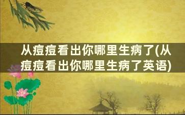 从痘痘看出你哪里生病了(从痘痘看出你哪里生病了英语)