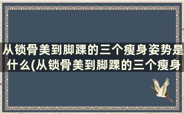 从锁骨美到脚踝的三个瘦身姿势是什么(从锁骨美到脚踝的三个瘦身姿势)