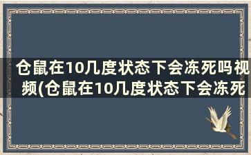 仓鼠在10几度状态下会冻死吗视频(仓鼠在10几度状态下会冻死吗)