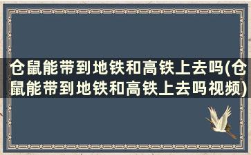 仓鼠能带到地铁和高铁上去吗(仓鼠能带到地铁和高铁上去吗视频)