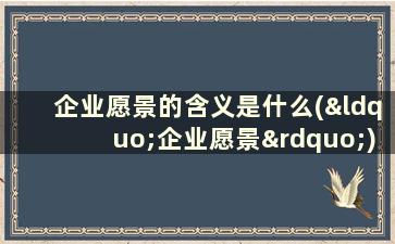 企业愿景的含义是什么(“企业愿景”)