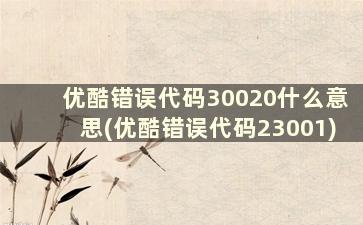 优酷错误代码30020什么意思(优酷错误代码23001)