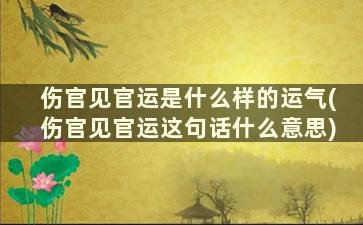 伤官见官运是什么样的运气(伤官见官运这句话什么意思)