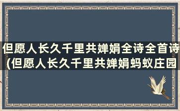 但愿人长久千里共婵娟全诗全首诗(但愿人长久千里共婵娟蚂蚁庄园)