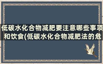 低碳水化合物减肥要注意哪些事项和饮食(低碳水化合物减肥法的危害)