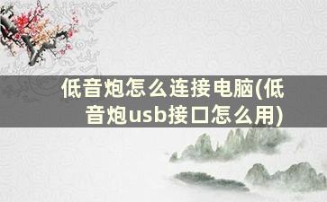 低音炮怎么连接电脑(低音炮usb接口怎么用)