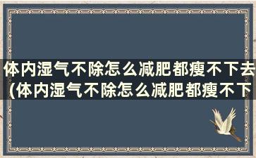 体内湿气不除怎么减肥都瘦不下去(体内湿气不除怎么减肥都瘦不下来怎么办)