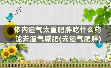 体内湿气太重肥胖吃什么药能去湿气减肥(去湿气肥胖)