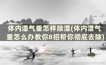 体内湿气重怎样除湿(体内湿气重怎么办教你8招帮你彻底去除)