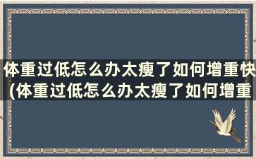 体重过低怎么办太瘦了如何增重快(体重过低怎么办太瘦了如何增重减肥)