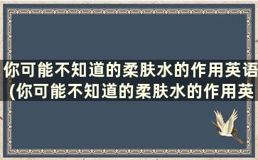 你可能不知道的柔肤水的作用英语(你可能不知道的柔肤水的作用英文)