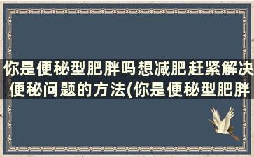 你是便秘型肥胖吗想减肥赶紧解决便秘问题的方法(你是便秘型肥胖吗想减肥赶紧解决便秘问题吧)