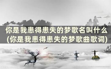 你是我患得患失的梦歌名叫什么(你是我患得患失的梦歌曲歌词)