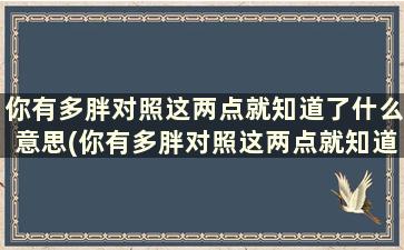 你有多胖对照这两点就知道了什么意思(你有多胖对照这两点就知道了英文)