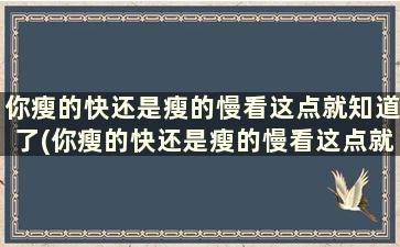 你瘦的快还是瘦的慢看这点就知道了(你瘦的快还是瘦的慢看这点就知道了英语)