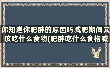 你知道你肥胖的原因吗减肥期间又该吃什么食物(肥胖吃什么食物减肥)