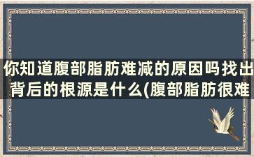 你知道腹部脂肪难减的原因吗找出背后的根源是什么(腹部脂肪很难减)