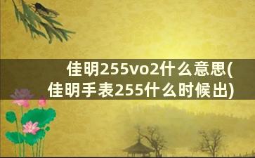 佳明255vo2什么意思(佳明手表255什么时候出)