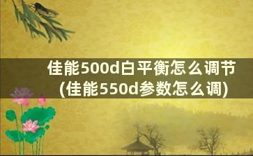 佳能500d白平衡怎么调节(佳能550d参数怎么调)