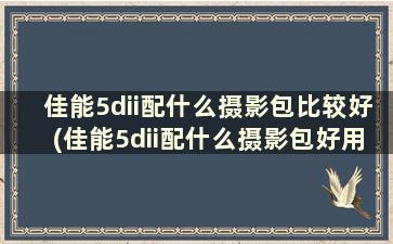 佳能5dii配什么摄影包比较好(佳能5dii配什么摄影包好用)