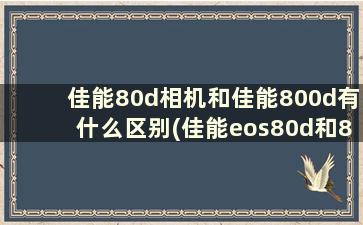 佳能80d相机和佳能800d有什么区别(佳能eos80d和800d对比)