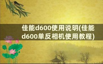 佳能d600使用说明(佳能d600单反相机使用教程)